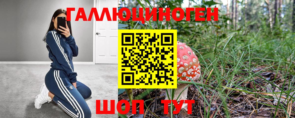 Галлюциногенные грибы мицелий Горно-Алтайск